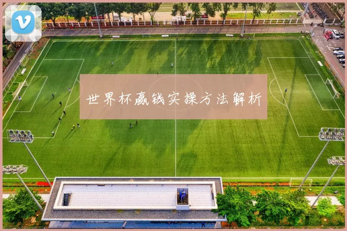 世界杯赢钱实操方法解析