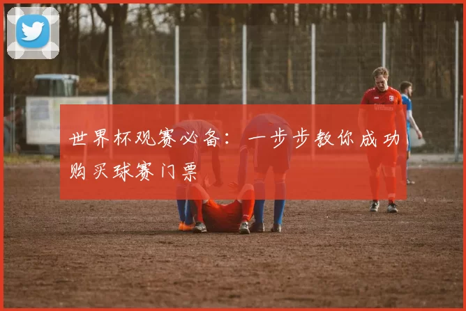 世界杯观赛必备：一步步教你成功购买球赛门票