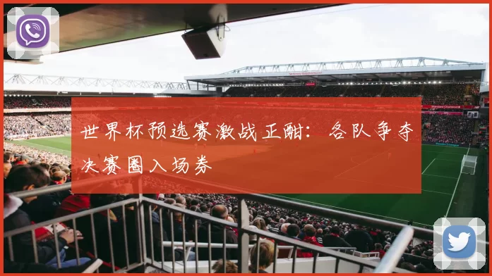 世界杯预选赛激战正酣：各队争夺决赛圈入场券