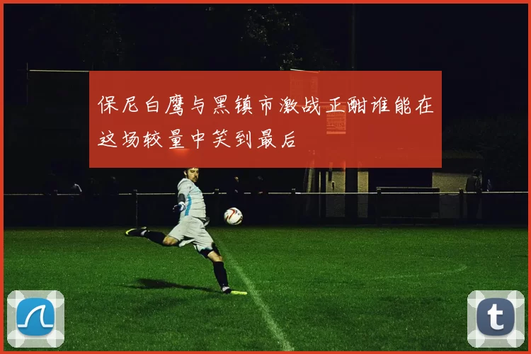 保尼白鹰与黑镇市激战正酣谁能在这场较量中笑到最后