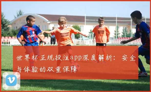 世界杯正规投注app深度解析：安全与体验的双重保障