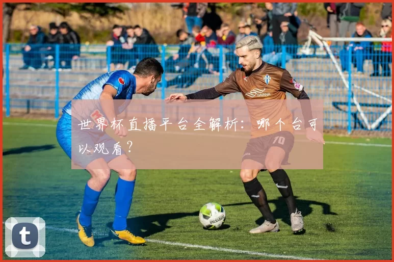 世界杯直播平台全解析：哪个台可以观看？