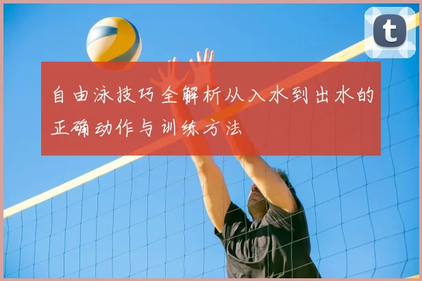 自由泳技巧全解析从入水到出水的正确动作与训练方法