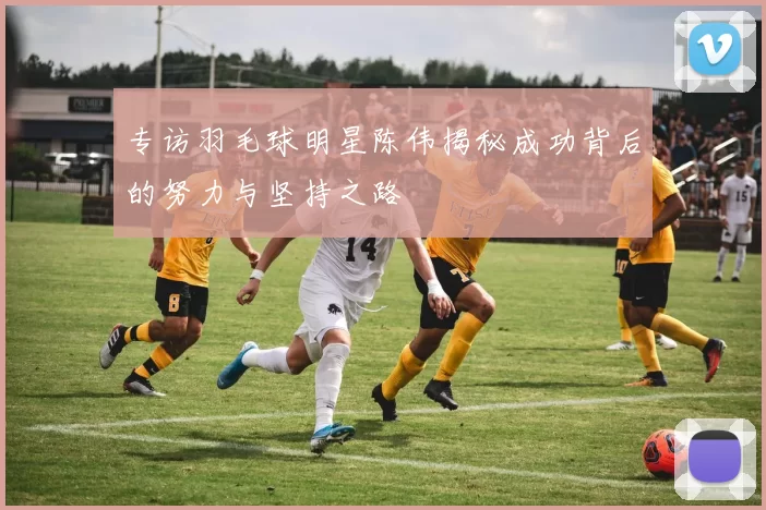 专访羽毛球明星陈伟揭秘成功背后的努力与坚持之路