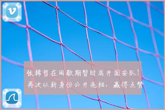 张稀哲在间歇期暂时离开国安队！再次以新身份公开亮相，赢得点赞_中超_媒体_本赛季