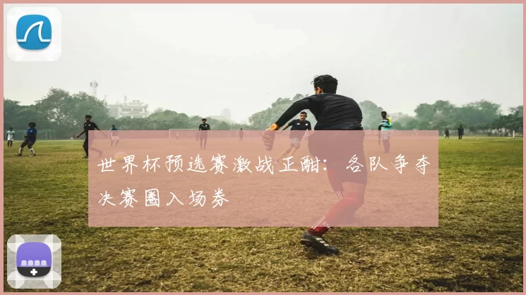 世界杯预选赛激战正酣：各队争夺决赛圈入场券