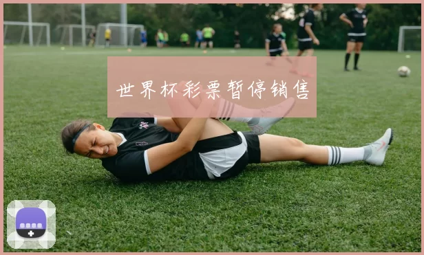 世界杯彩票暂停销售