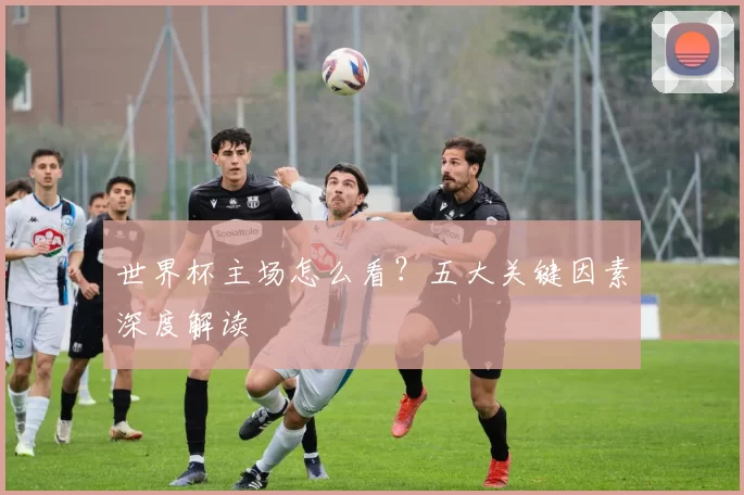 世界杯主场怎么看？五大关键因素深度解读