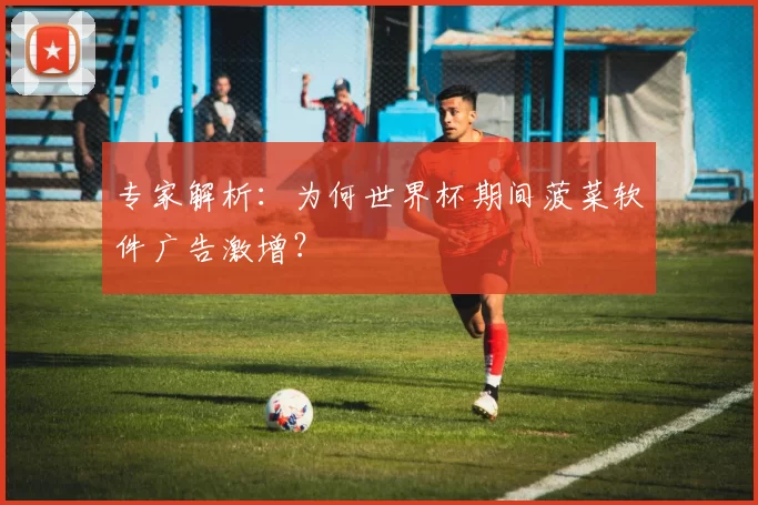 专家解析：为何世界杯期间菠菜软件广告激增？