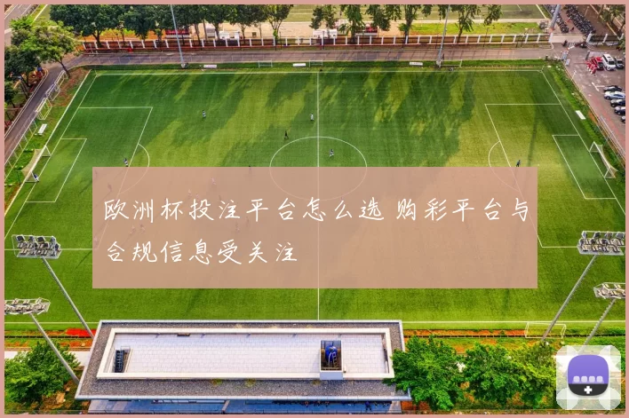 欧洲杯投注平台怎么选 购彩平台与合规信息受关注