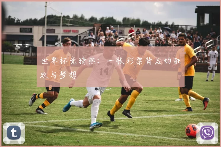 世界杯竞猜热：一张彩票背后的狂欢与梦想