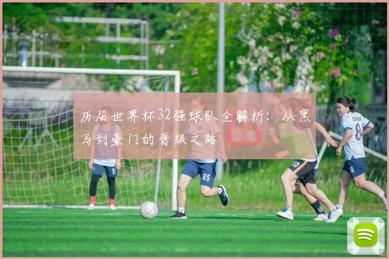 历届世界杯32强球队全解析：从黑马到豪门的晋级之路
