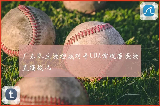 广东队主场迎战对手CBA常规赛现场直播战况
