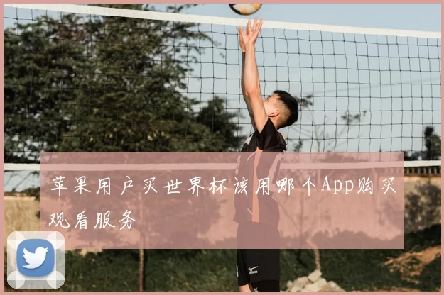 苹果用户买世界杯该用哪个App购买观看服务