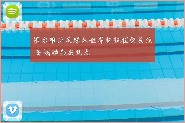塞尔维亚足球队世界杯征程受关注 备战动态成焦点