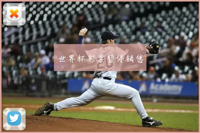 世界杯彩票暂停销售